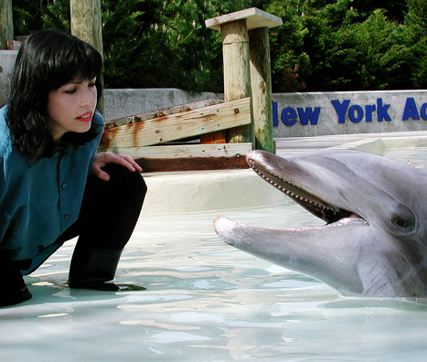 Diana Reiss Interview “studying the big-brained dolphin”