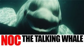 Talking Whale